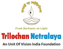 Vision India Foundation  